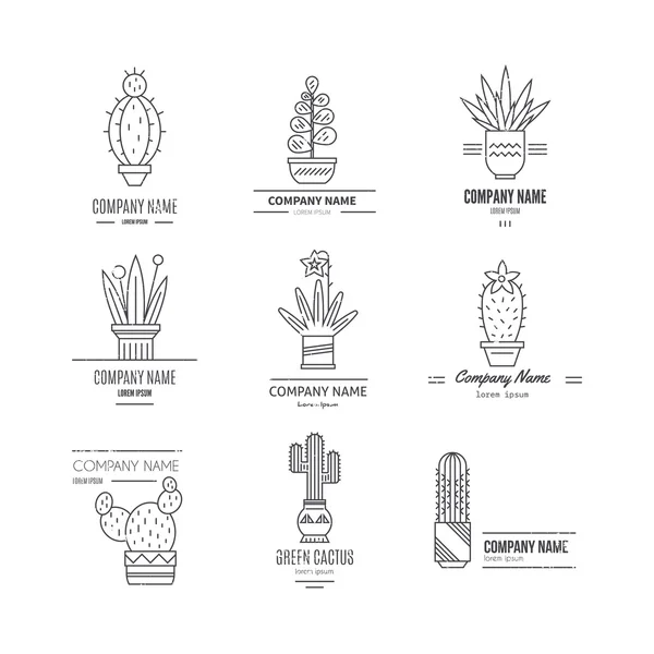 Company Logo with cactuses — ストックベクタ