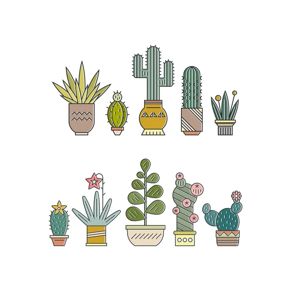 Succulents and cactuses in pots — Stock Vector