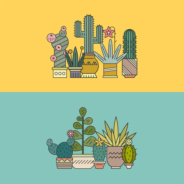 Succulents and cactuses in pots — Stock Vector