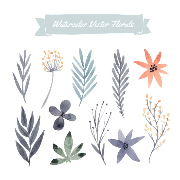 Aquarela flores e folhas — Vetor de Stock