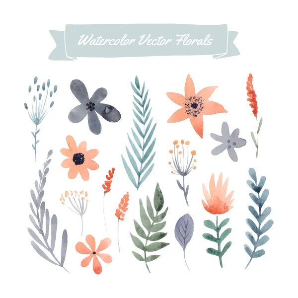 Suluboya çiçek seti