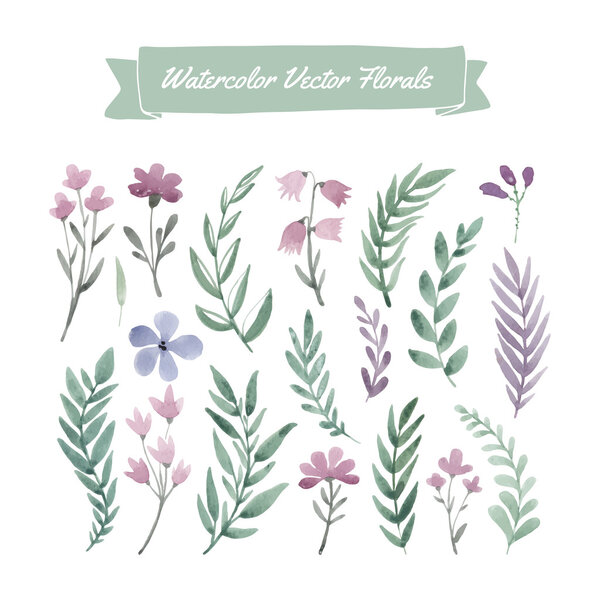 Acuarela flores y hojas — Vector de stock