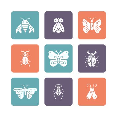 böcekler ve hata koleksiyonu