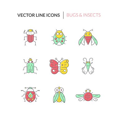 Collection of colorful bugs and insects clipart