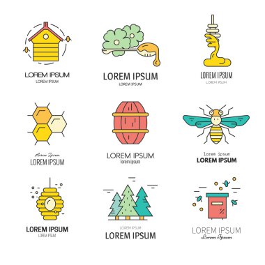 collection with honey related items