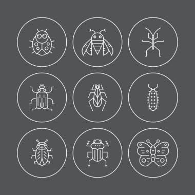 insects thin line icons.