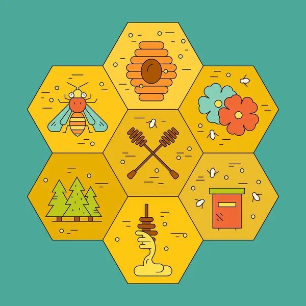 Honey Concept with Honeycomb — Stock Vector