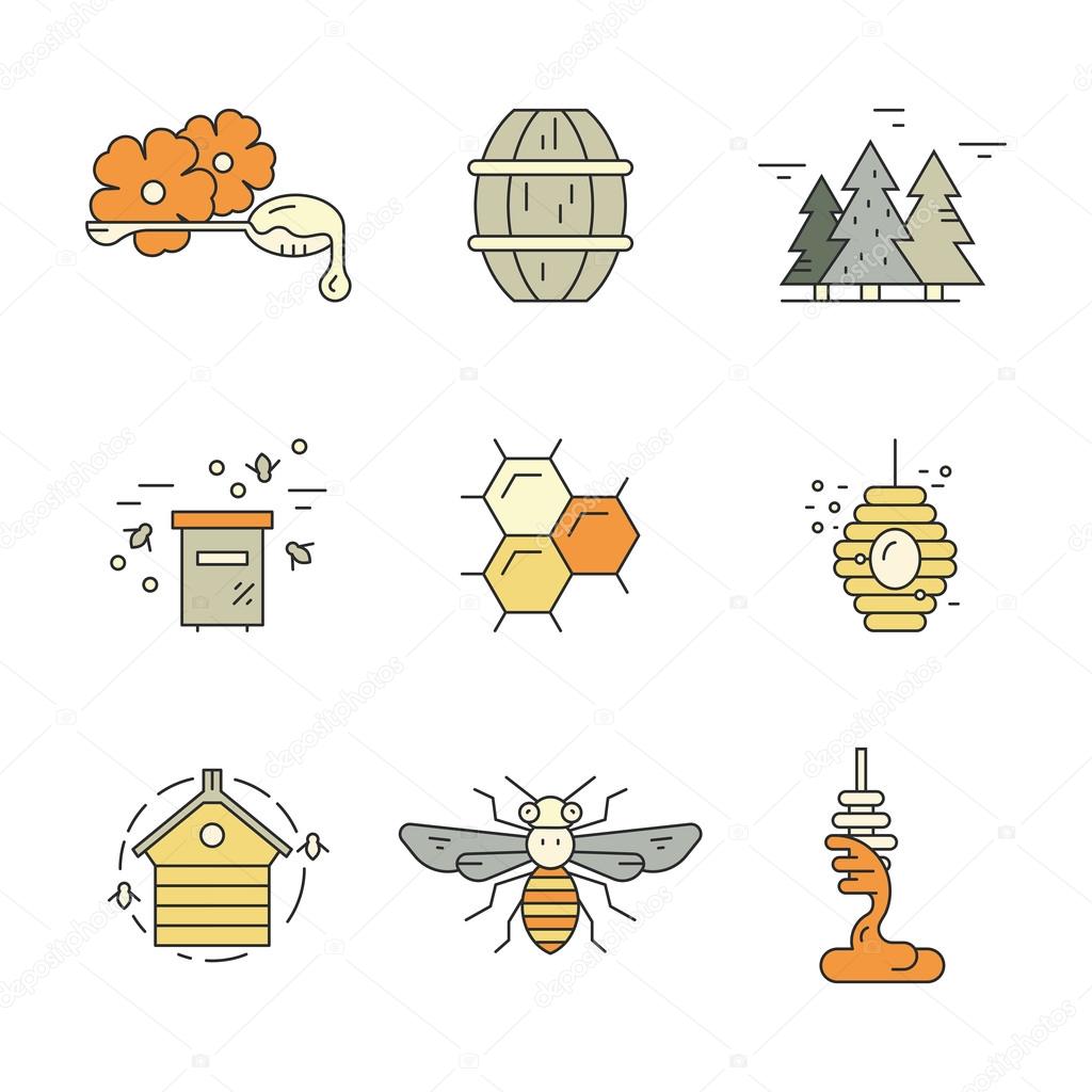 Collection of honey related design elements: bee, hive, honeycomb, dipper with honey. Vector line series.