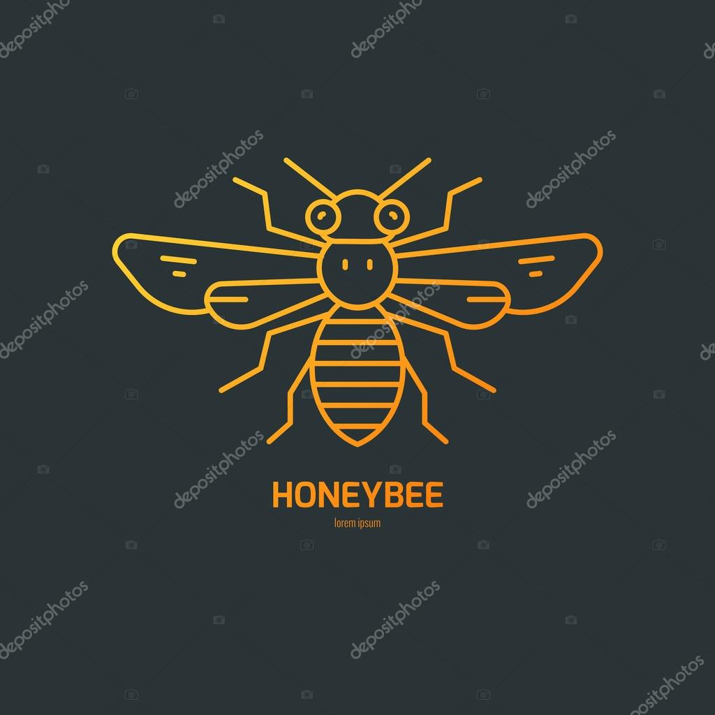 Vector line logo with honeybee. Perfect brand symbol for natural company, bio product. Easy to use.