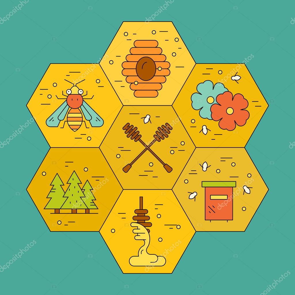Colorful design element with different honey related items in honeycomb. Dipper, bee, forest, beehive made in modern vector style.