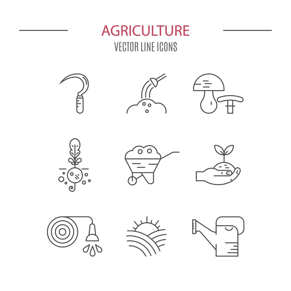 Icon set for local markets or farming — Stock Vector