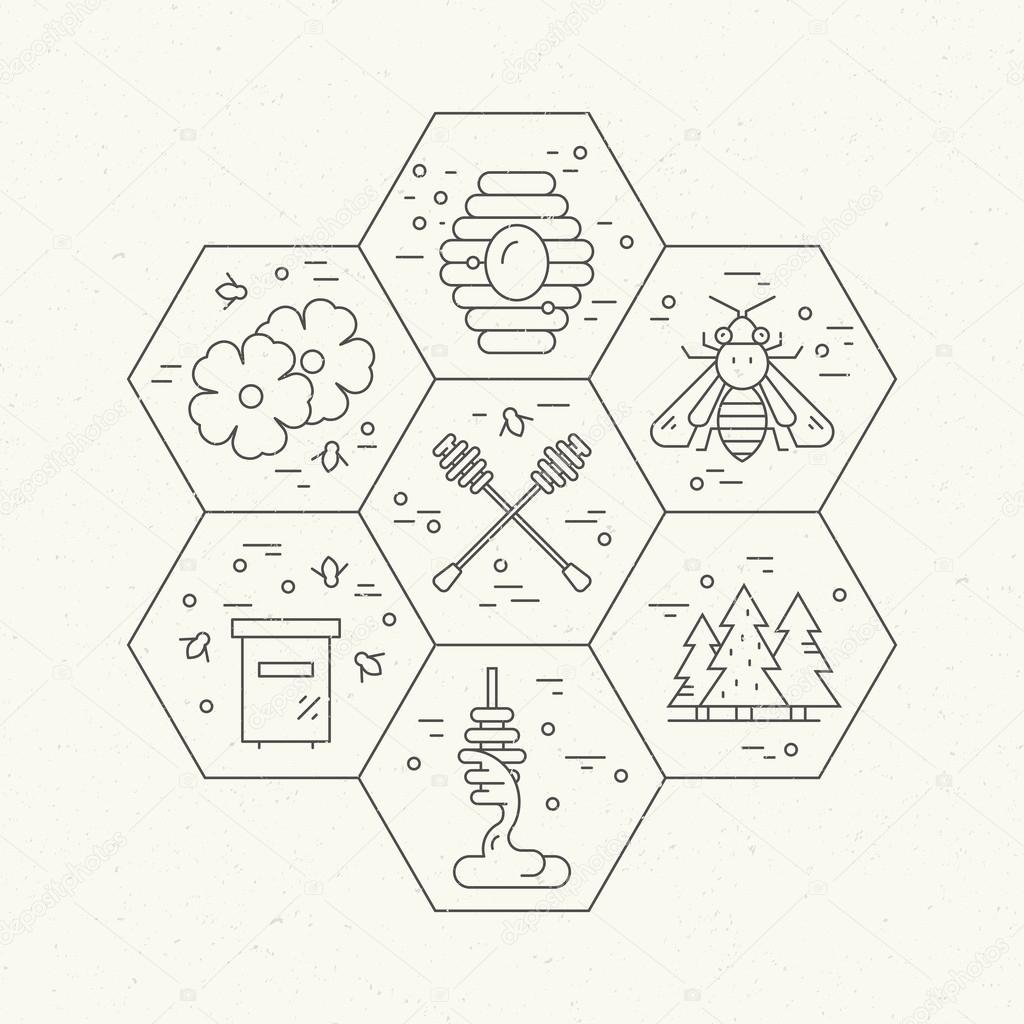 Honey industry concept - different honey related items in honeycomb, Thin line vector series.