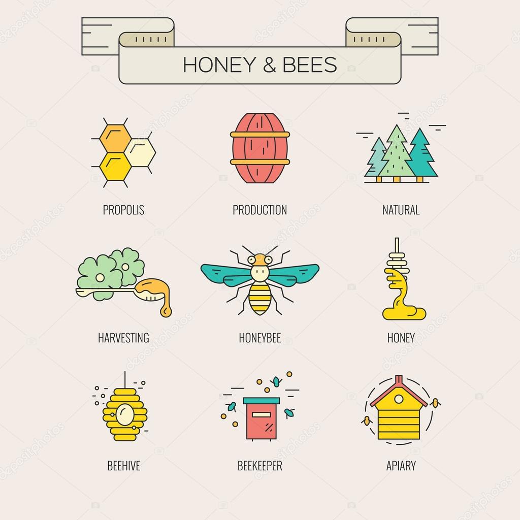 Honeybees and honey design element collection made in vector. Hiver, honeycomb, harvest and other natural product symbols.