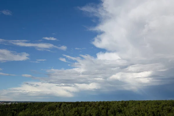 Blauer Himmel Und Weiße Wolken Über Dem Wald — Stockfoto