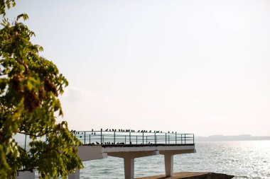 Kuşlar denizdeki korkuluklara oturur.