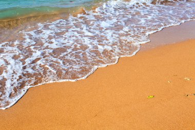 Kumlu bir sahilde deniz dalgası