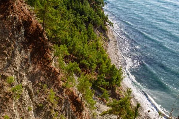 Top View Sea Shore Forest Cliff — Stock Photo, Image