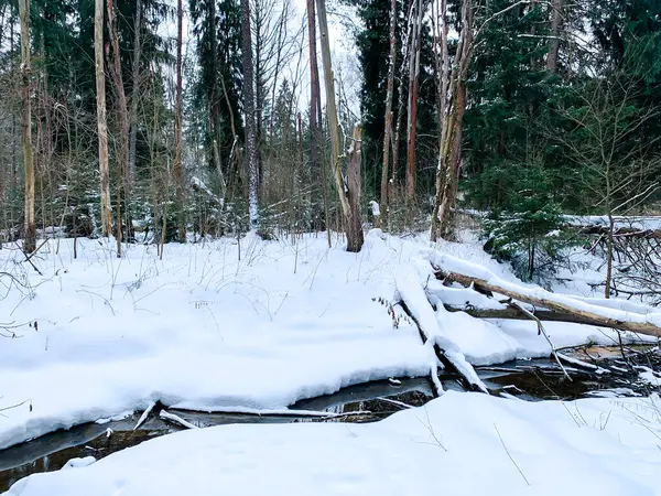 Fluss Winter Verschneiten Wald — Stockfoto