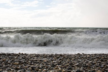 Büyük bir dalga geliyor.