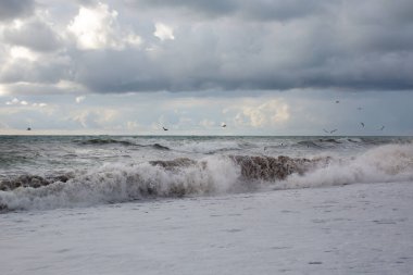 Kıyıya yakın denizde büyük dalgalar