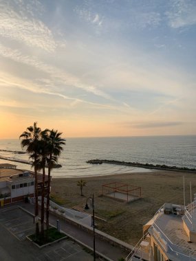 Şafakta bir palmiye ağacıyla sahili görmek