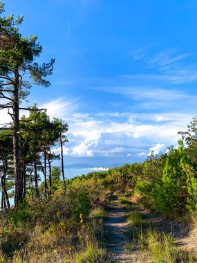 Mavi gökyüzüne karşı dağ yolu