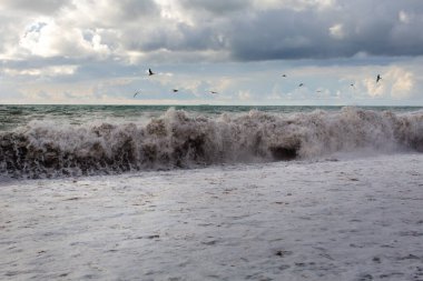 Kıyıya yakın büyük bir dalga kopuyor.