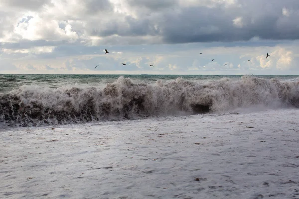 Kıyıya yakın büyük bir dalga kopuyor.