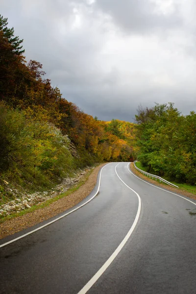 Weg Door Het Herfstbos — Stockfoto