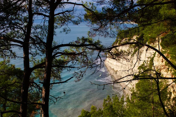 Dağdan kayalığa, denizden ağaçların dallarına bak.
