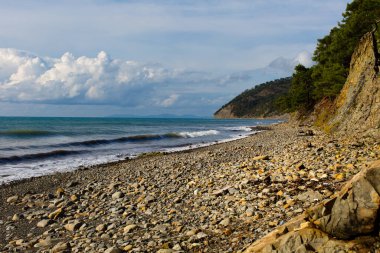 Taşlı boş bir sahil.