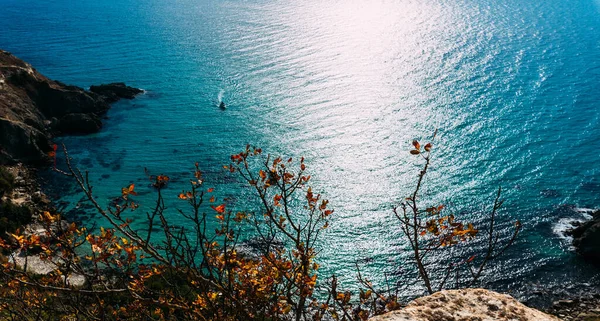 海と夏の風景 海の空の景色 澄んだ水と楽園の海の空中ビュー リゾート地 トップビュー 素晴らしい自然背景 海外での休日 スペースのコピー — ストック写真
