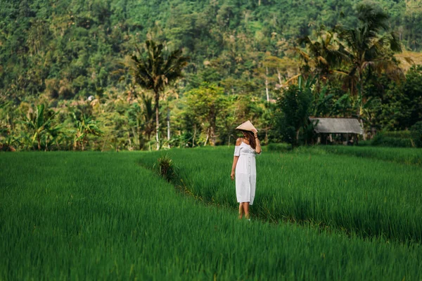 Beautiful Girl Walks Rice Terraces Island Bali Beautiful Girl White — Stock Photo, Image