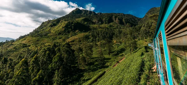電車で旅行 パノラマ 道路の旅 ブルースリランカ列車はジャングル 山を通過します スリランカで有名な青い列車 Travel Ceylon Island アジアで人気の旅行先 — ストック写真