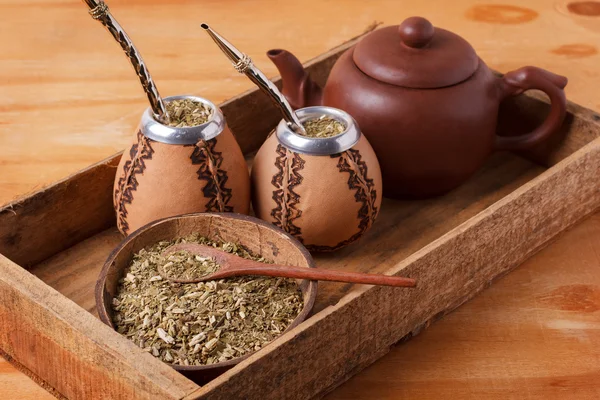 Mate en una calabaza tradicional con bombilla — Foto de Stock