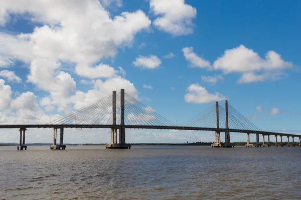 Brug Ponte Construtor Joao Alves in Aracaju, Sergipe, Brazilië — Stockfoto