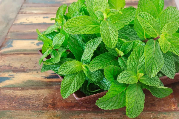 Menta fresca en tazón sobre mesa de madera — Foto de Stock