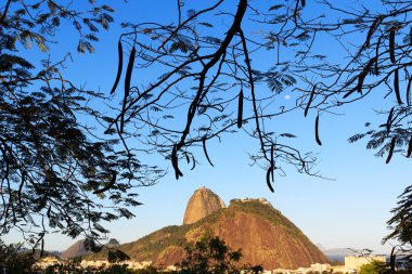 Dağ Sugarloaf moon, Rio de Janeiro ile yaprakların çerçevesindeki