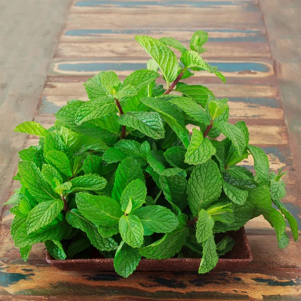 Fresh mint in brown bowl on wooden table — Stock Photo, Image