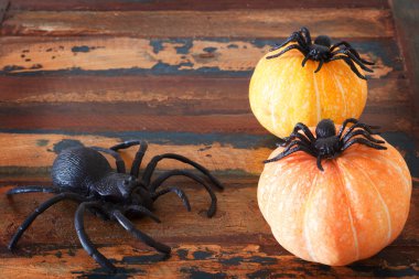 Halloween pumpkins arka plan ve örümcekler ahşap tablo