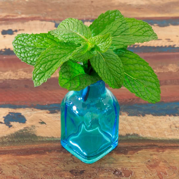 Menta fresca en jarrón azul pequeño sobre mesa de madera — Foto de Stock