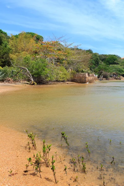 Sel kumsalda Buzios, evler, deniz, kıyı şeridi bulunan Rio de Janeir — Stok fotoğraf