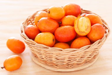 Meyve Jocote (Sineguela, Siriguela, kırmızı Mombin, mor Mombin, H