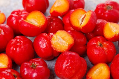 Malpighia glabra (red acerola), tropical fruit  clipart