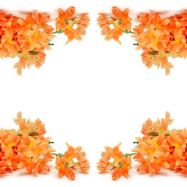 kestane fişeği çiçek