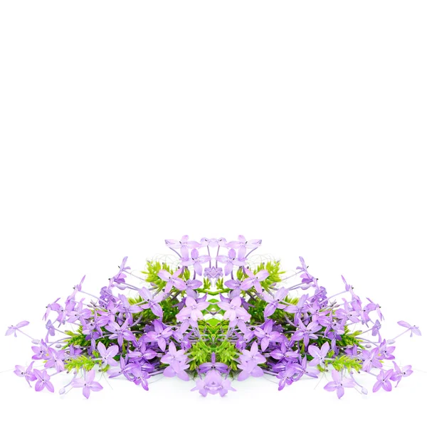 Цветочный фиолетовый цветок — стоковое фото