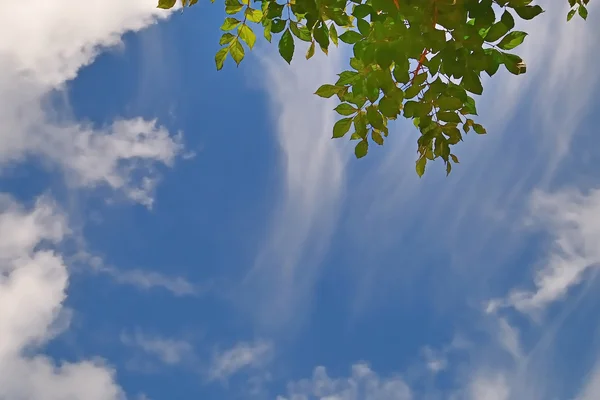 Langit biru dengan clounds — Stok Foto