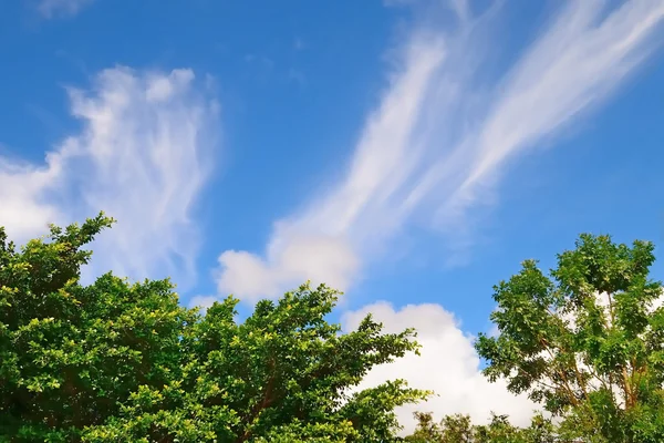 Blauer Himmel mit Schollen — Stockfoto