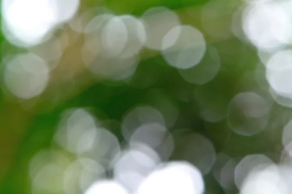 Nature green bokeh — Stock Photo, Image