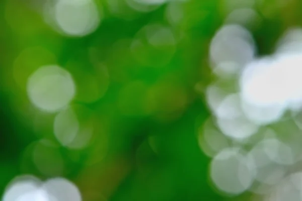 Groene natuur, bokeh Rechtenvrije Stockfoto's